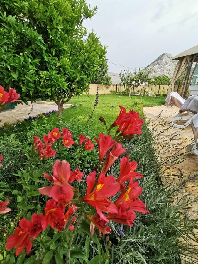 Villa Mater - Luxuriously Equipped Villa With A 15M Long Swimming Pool Žrnovnica Extérieur photo